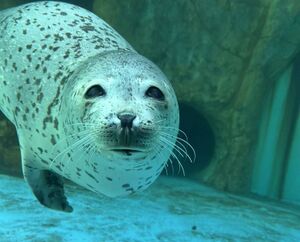 Peanut butter jelly time.jpg