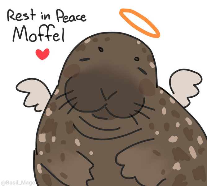 File:Moffel RIP.png