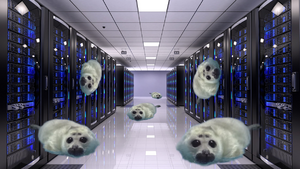 NERPA SERVER INFESTATION.png