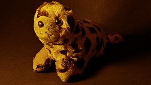 Old amber my zuzu bird.png