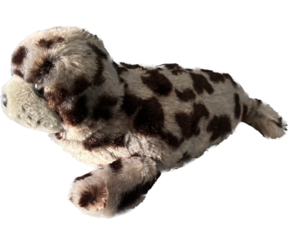 Wednesday Cappuccino 1.png