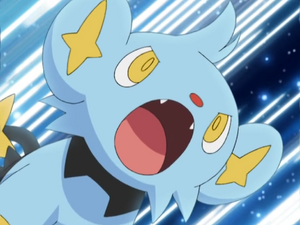 Shinx4.png