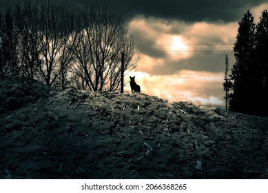 File:Scary Hill.webp