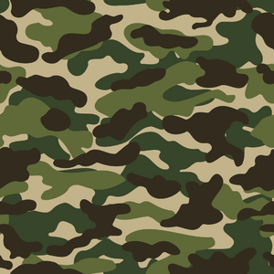 Camo.png