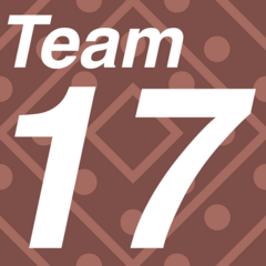 Team 17
