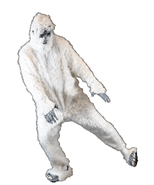 The yeti.gif
